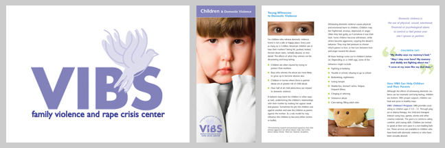 vibs logo and brochure